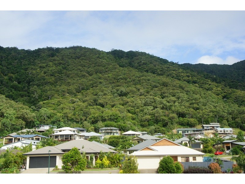 15 Palmetto Street, Palm Cove QLD 4879
