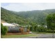 15 Palmetto Street, Palm Cove QLD 4879