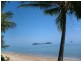 15 Palmetto Street, Palm Cove QLD 4879