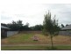 15 Palmetto Street, Palm Cove QLD 4879