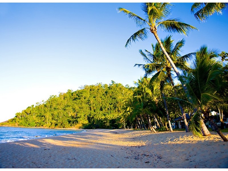 8 Strombus Ave, Trinity Beach QLD 4879