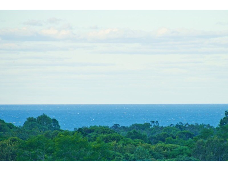 16 COCUS CR, Palm Cove QLD 4879
