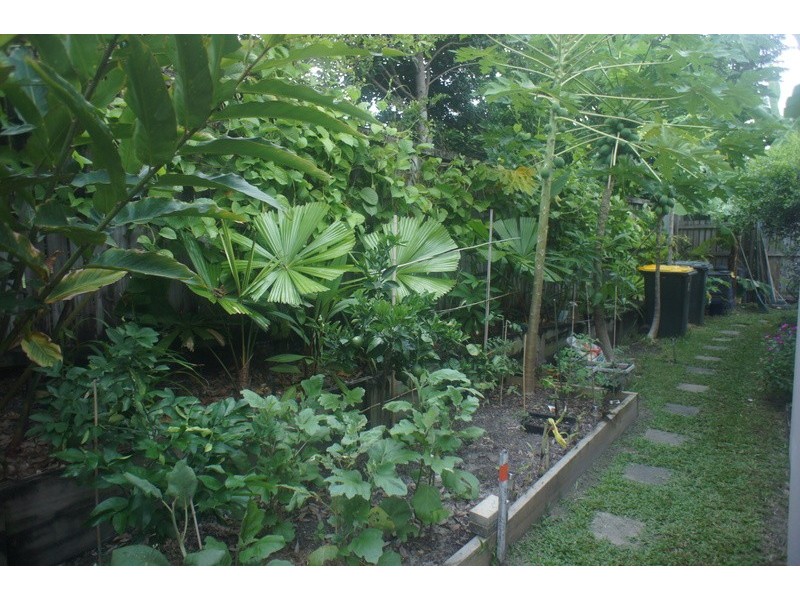 3/64 HARBOUR DRIVE, Trinity Park QLD 4879