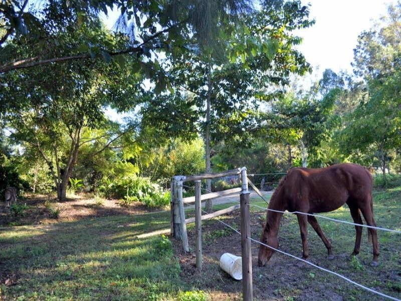 70 Chinaman Creek CAMBROON, Maleny QLD 4552
