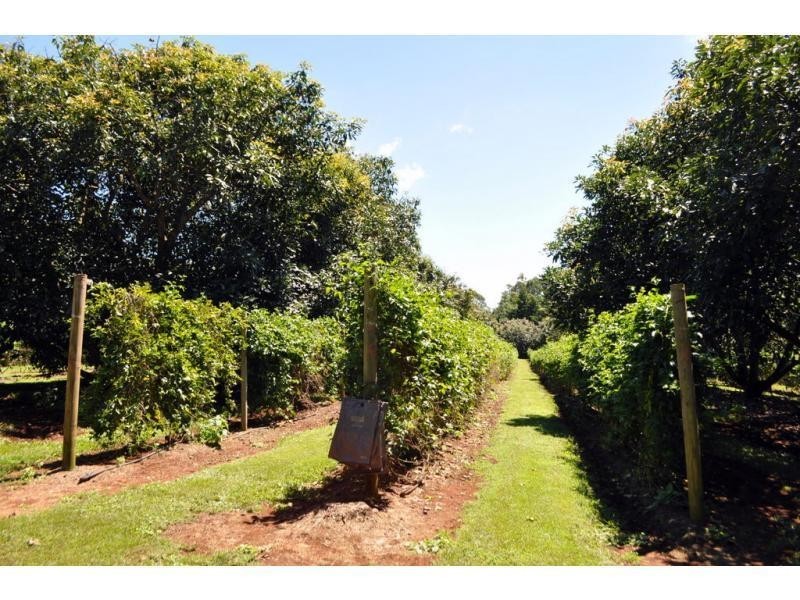 207 Witta Road, Maleny QLD 4552