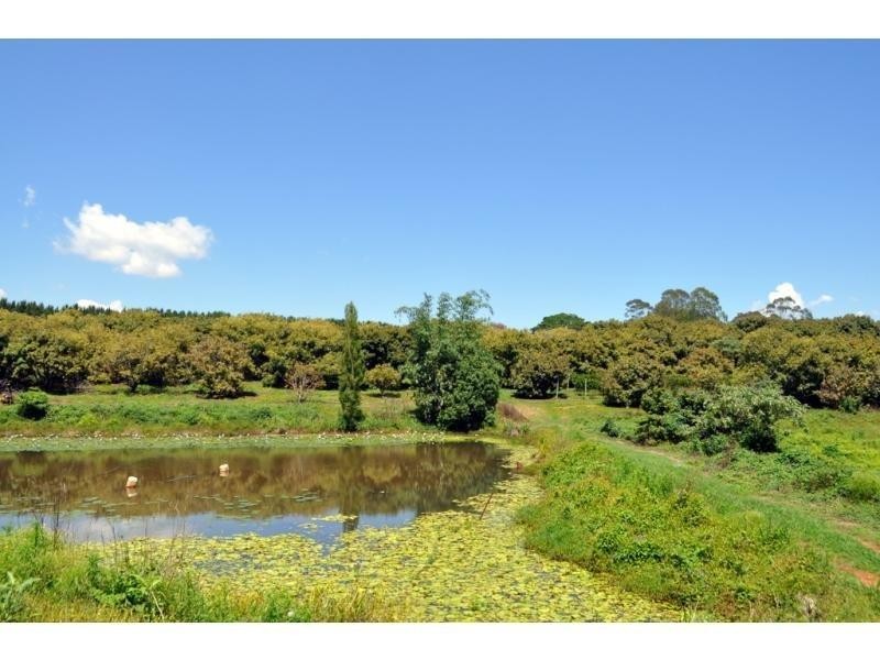 207 Witta Road, Maleny QLD 4552