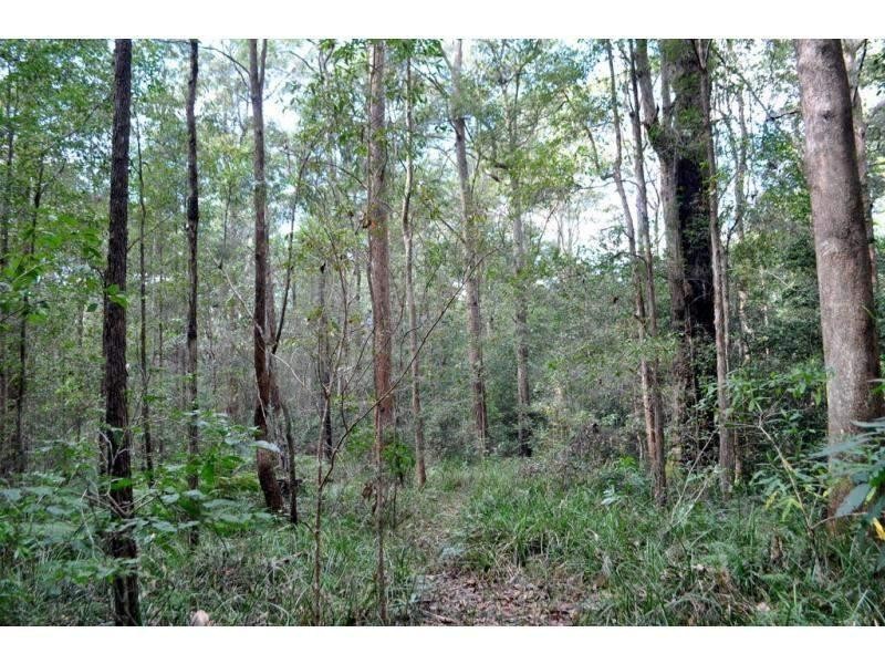 Landsborough QLD 4550