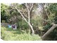 Maleny QLD 4552