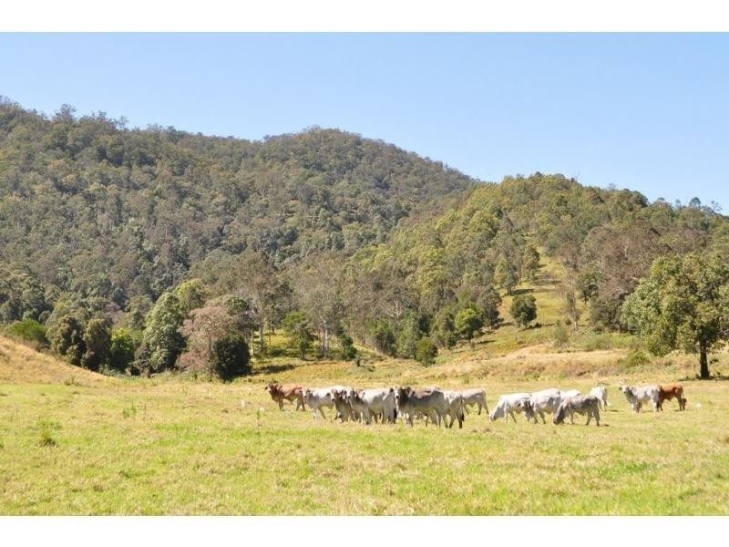 Lot 3 Loteastern Mary River Road, Maleny QLD 4552