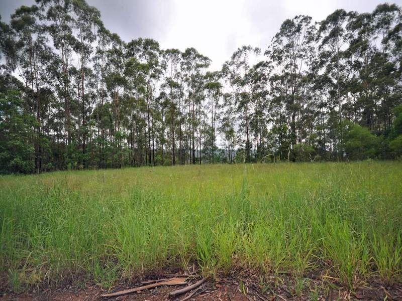 273 Scotts Road, Maleny QLD 4552