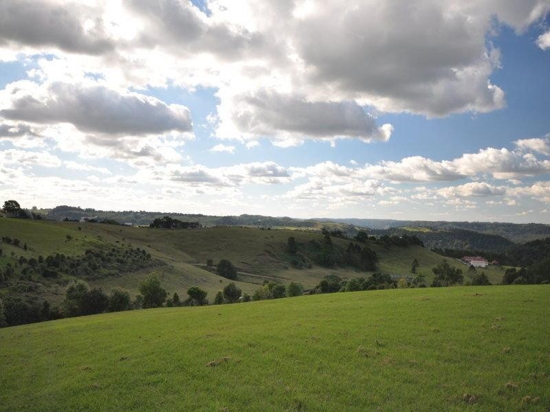 9 Curlew Court, Maleny QLD 4552