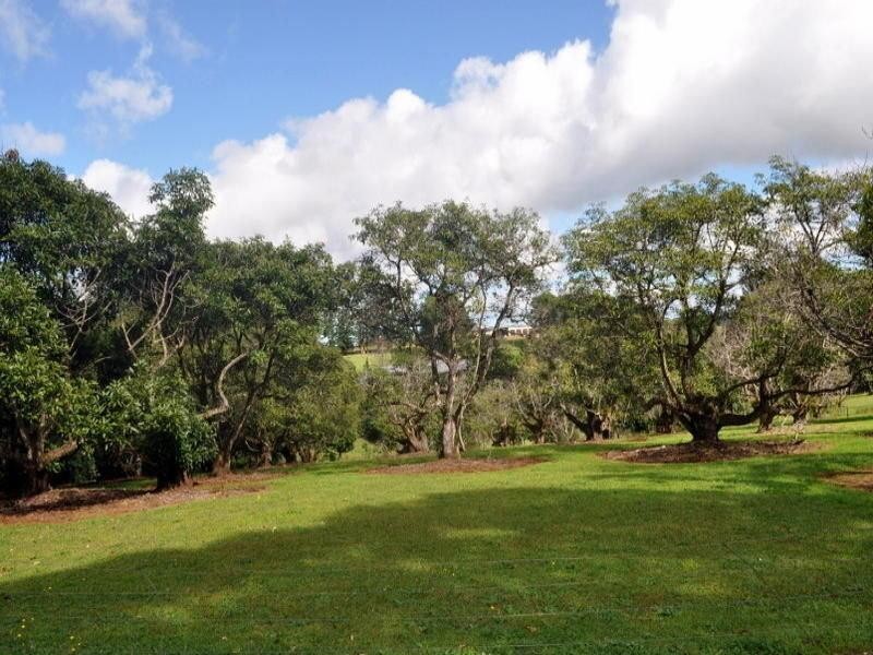 Lot 1 Burgess Avenue, Maleny QLD 4552