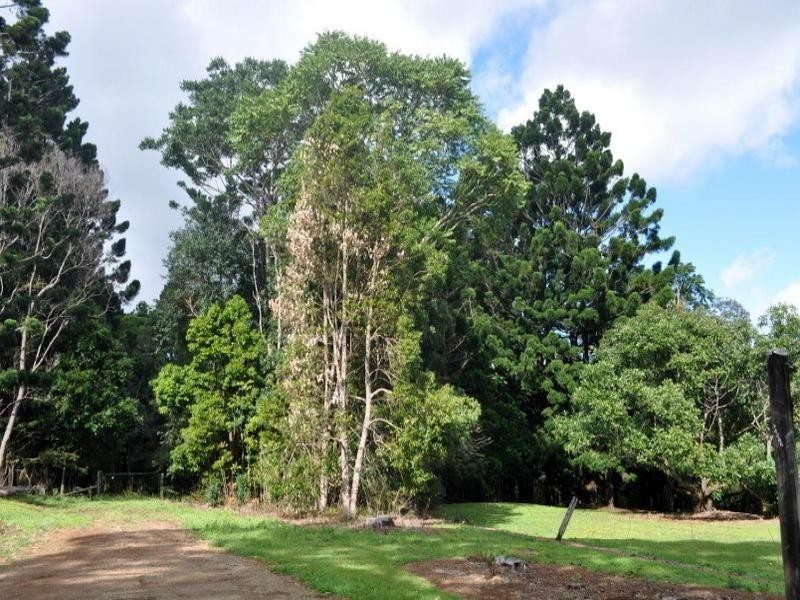 Lot 1 Burgess Avenue, Maleny QLD 4552