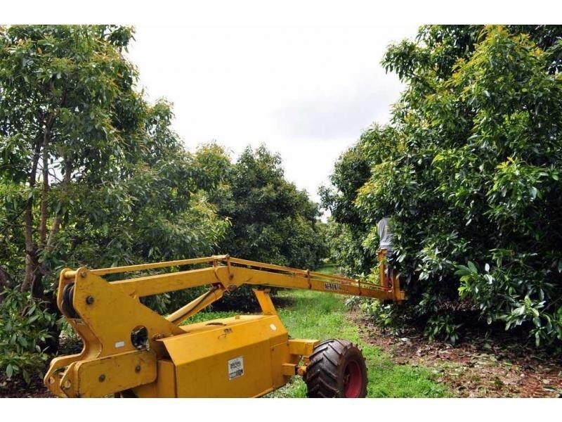 Lot 2 Burgess Avenue, Maleny QLD 4552