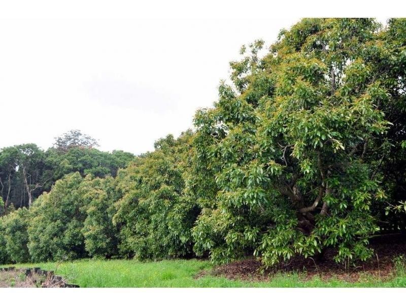 Lot 2 Burgess Avenue, Maleny QLD 4552