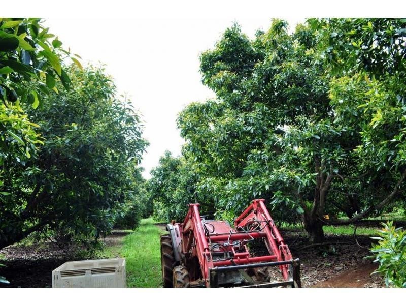 Lot 2 Burgess Avenue, Maleny QLD 4552