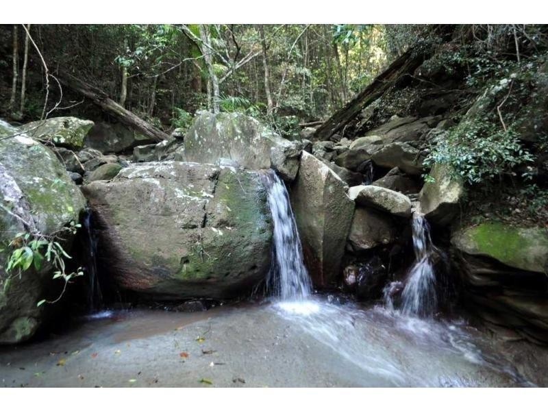 413 Brandenburg Road, Maleny QLD 4552