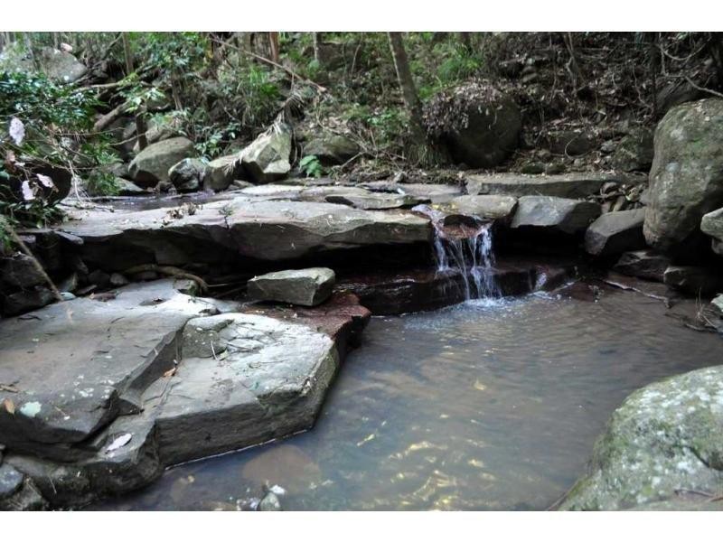 413 Brandenburg Road, Maleny QLD 4552