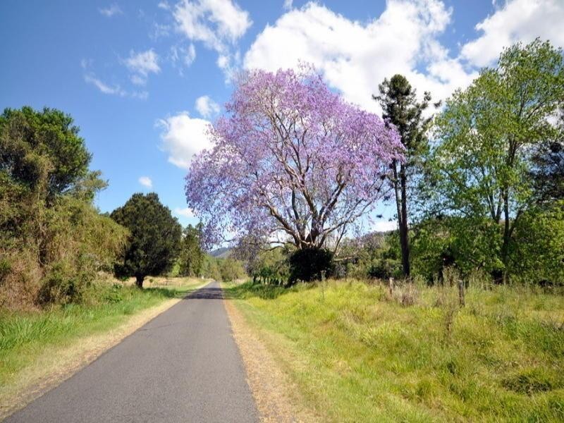 Maleny QLD 4552