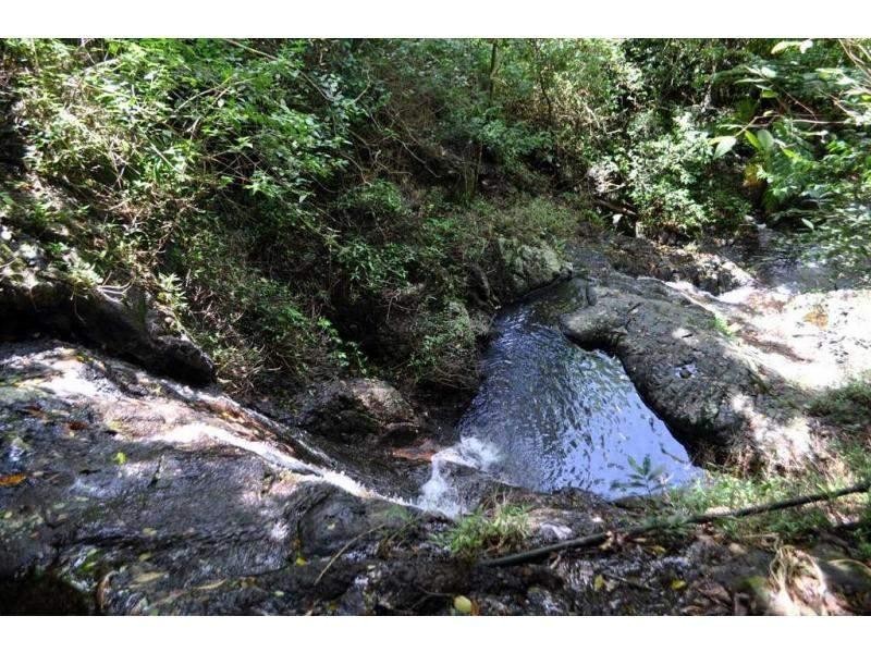 43 Cumner Lane, Maleny QLD 4552