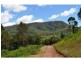 44 Wilcox Road, Kenilworth QLD 4574