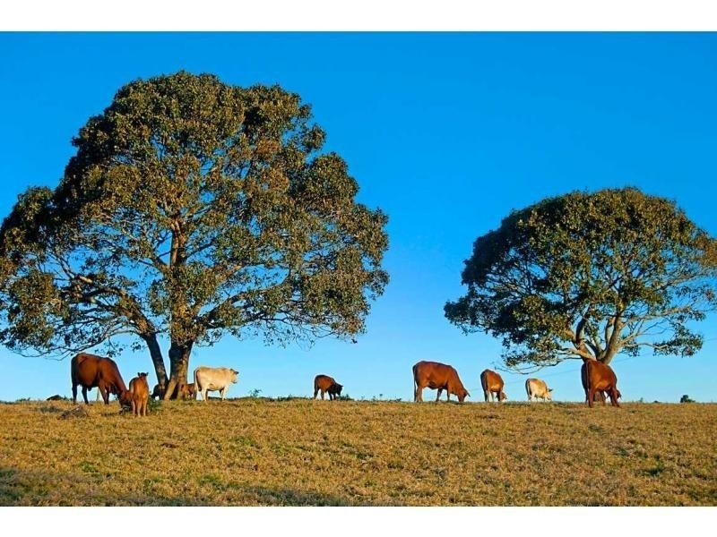 328-364 Mountain View Road, Maleny QLD 4552