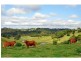 Lot 52 Bridge Creek Road, Maleny QLD 4552