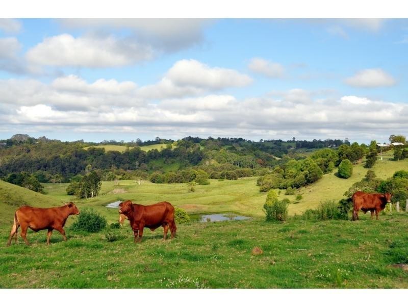 Lot 52 Bridge Creek Road, Maleny QLD 4552
