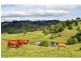 Lot 52 Bridge Creek Road, Maleny QLD 4552