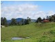 Maleny QLD 4552