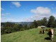 Maleny QLD 4552
