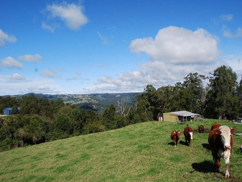 Maleny QLD 4552