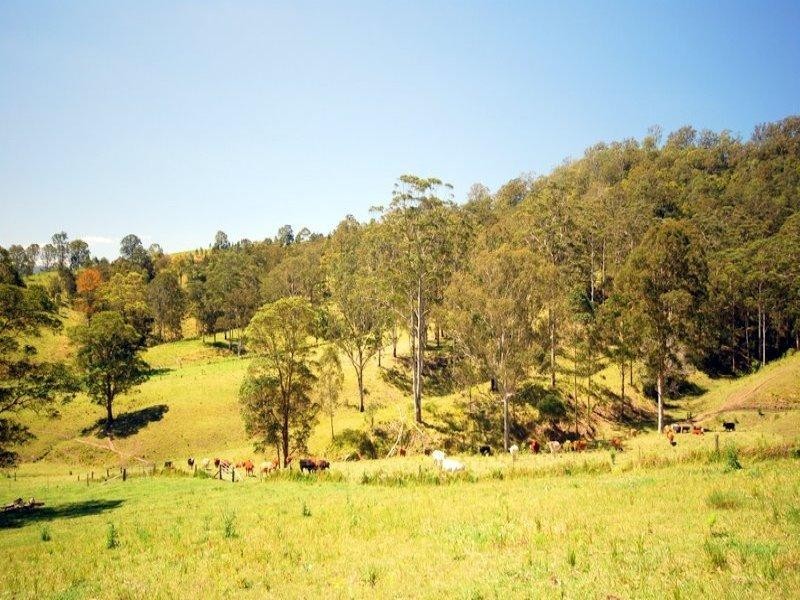337 Aherns Road Conondale, Maleny QLD 4552