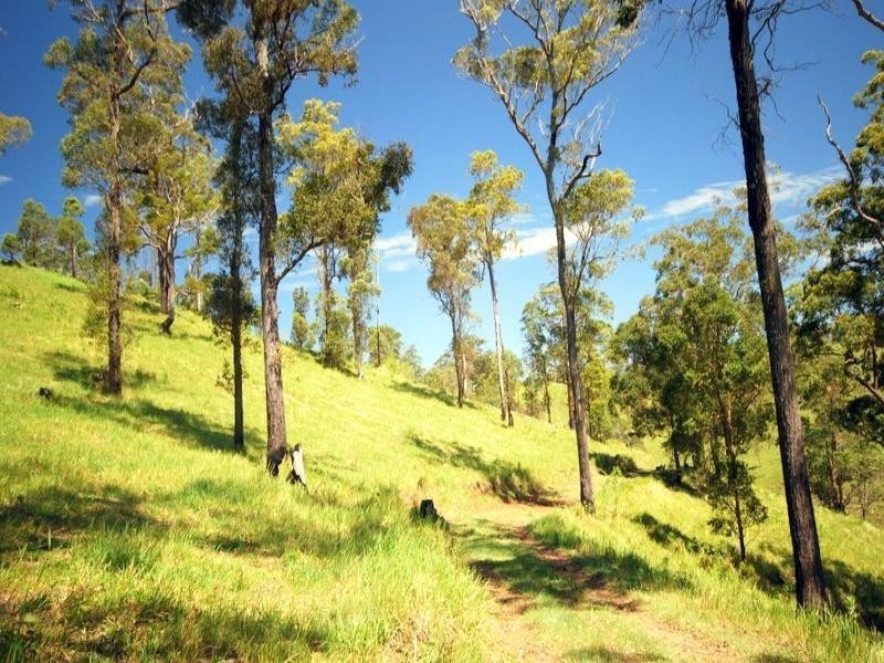 337 Aherns Road Conondale, Maleny QLD 4552