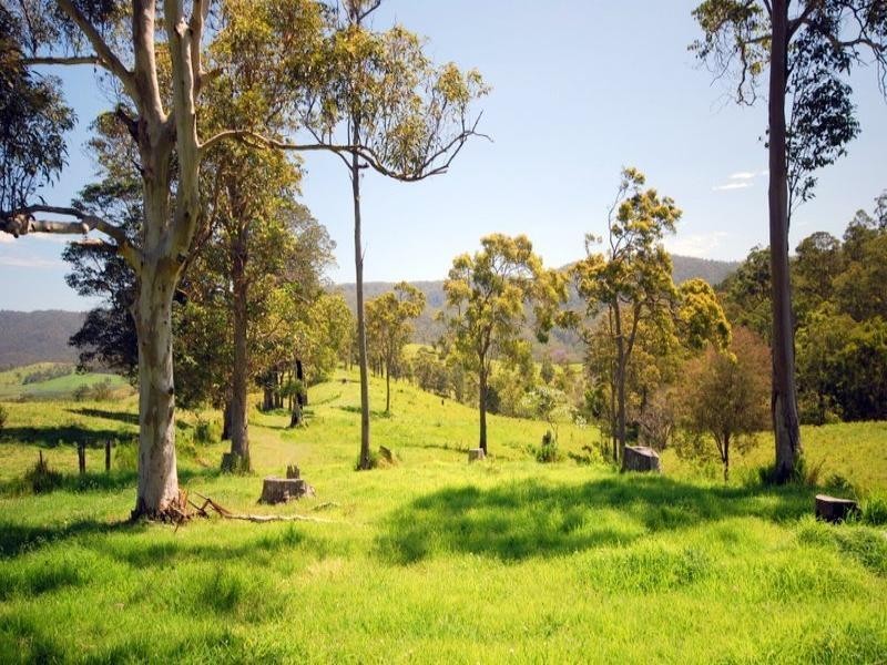 337 Aherns Road Conondale, Maleny QLD 4552