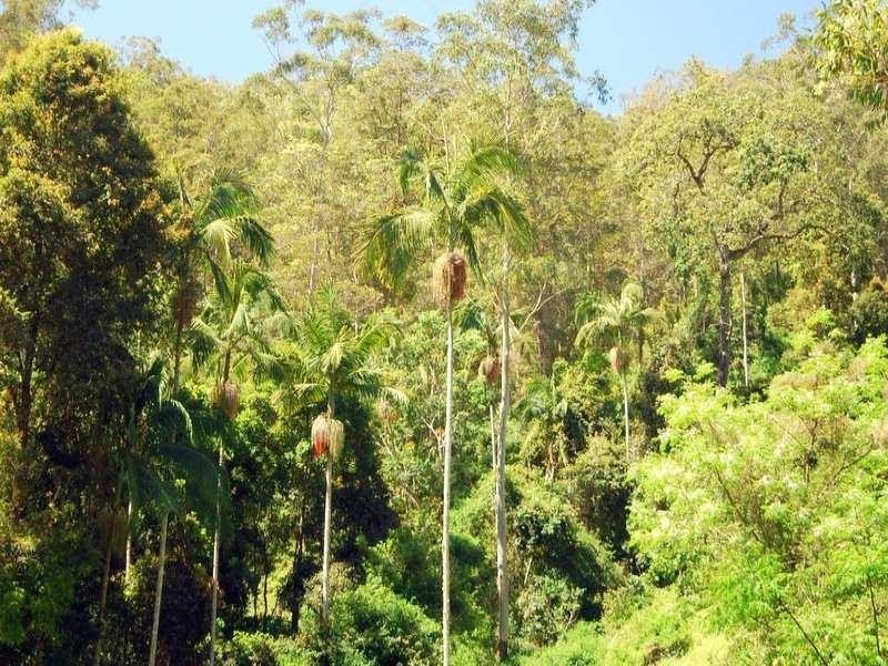 337 Aherns Road Conondale, Maleny QLD 4552