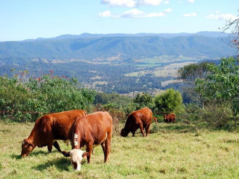 1399 Stanley River Road, Maleny QLD 4552