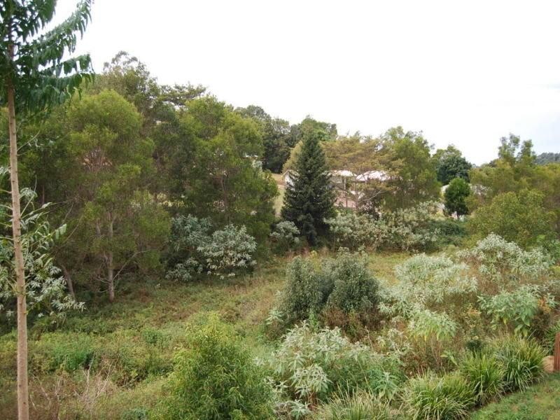 6 Jabiru Street, Maleny QLD 4552