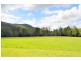 Maleny QLD 4552