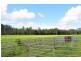 Maleny QLD 4552