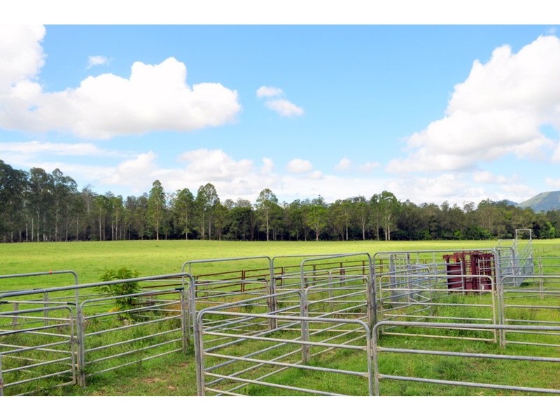 Maleny QLD 4552