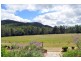 Maleny QLD 4552