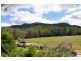Maleny QLD 4552