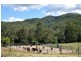 Maleny QLD 4552