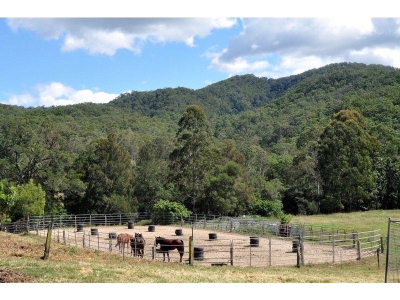 Maleny QLD 4552