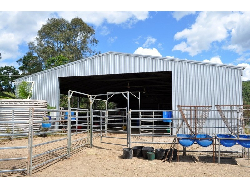 Maleny QLD 4552