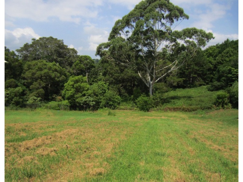 8 Ribbonwood Avenue, Maleny QLD 4552