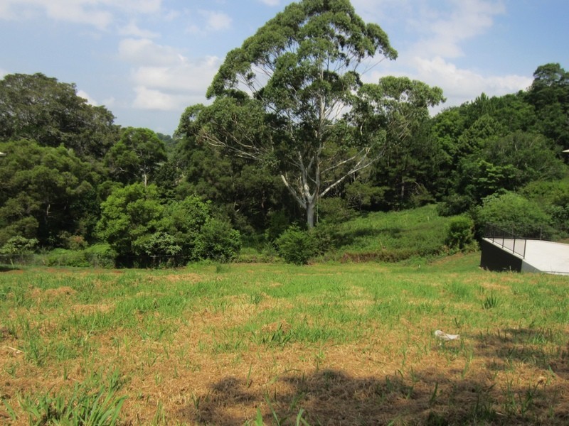 8 Ribbonwood Avenue, Maleny QLD 4552