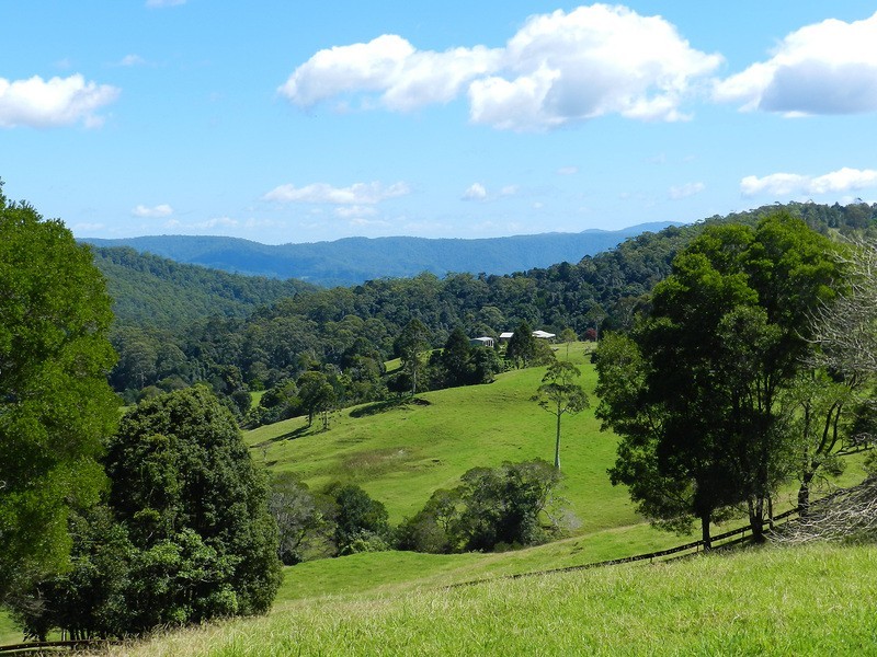 Maleny QLD 4552