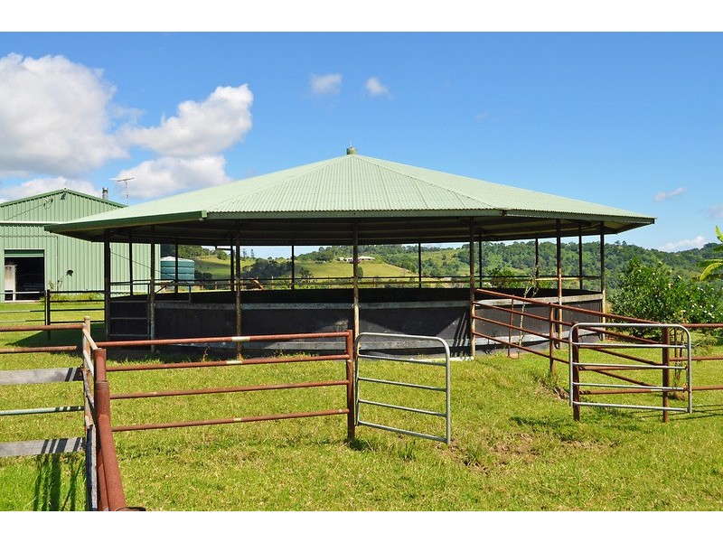 Maleny QLD 4552